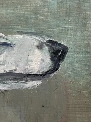 École Espagnole (XX) - Petit Levrier