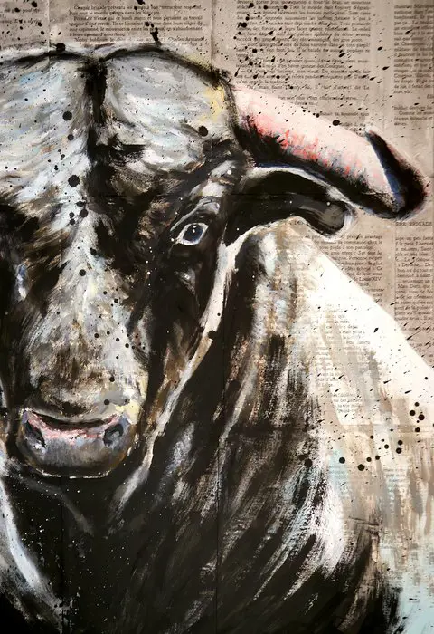 Bazévian DelaCapucinière - Portrait Toro Celeste(Large)