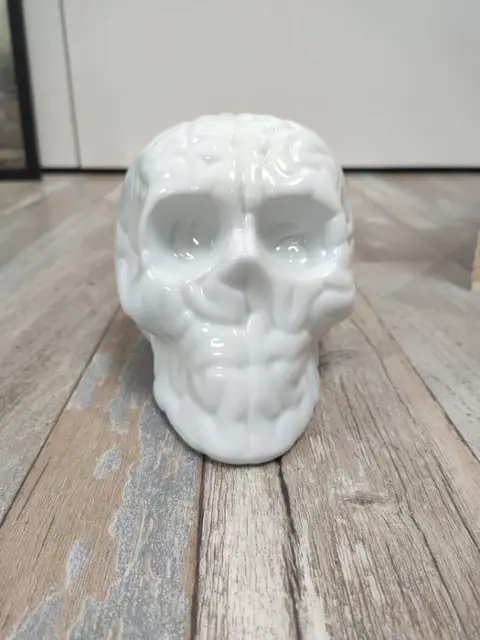 emilio Garcia - SkullBrain