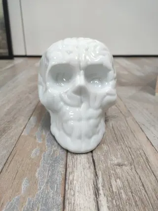 emilio Garcia - SkullBrain