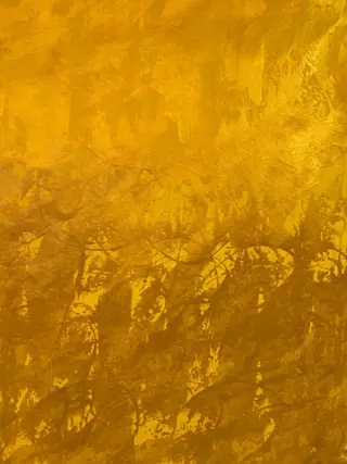 Reinhard Sommer - Gold Mine 9(XXL)