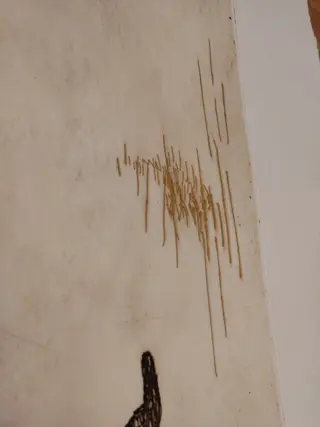 Jan Montyn (1924-2015) - Solitude