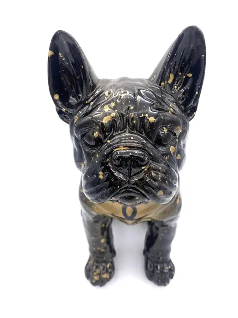 MVR - Bulldog Chanel