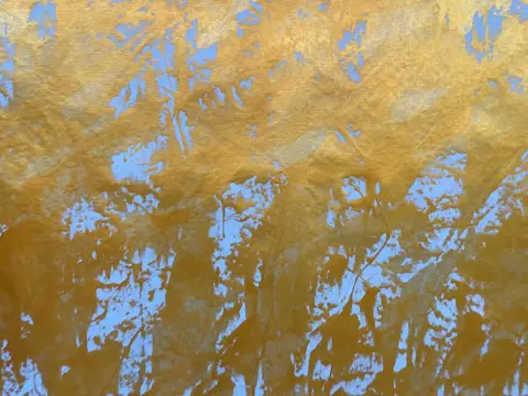 Reinhard Sommer - Gold 04(XXL)