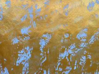 Reinhard Sommer - Gold 04(XXL)