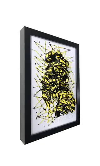 AURELIEN GUIHO - NÉONICOTINOÏDE YELLOW