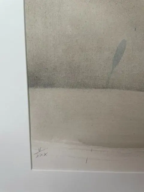 Alberto Sughi (1928-2012) - Al Cinema