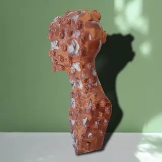 Angelo Scardino - Collettività