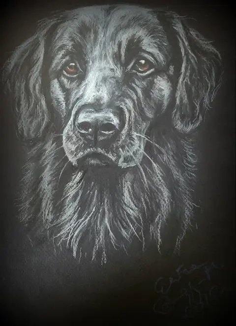 Eliza Rzewuska-Malec - 5 lots of drawings "Pets"
