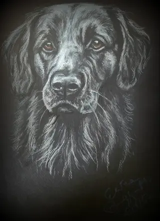 Eliza Rzewuska-Malec - 5 lots of drawings "Pets"