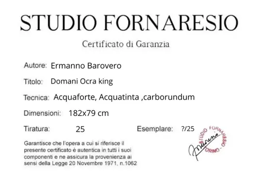 Ermanno Barovero (1956) - Domani Ocra XXL