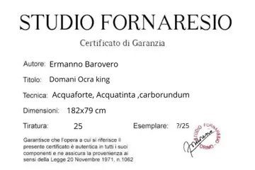 Ermanno Barovero (1956) - Domani Ocra XXL