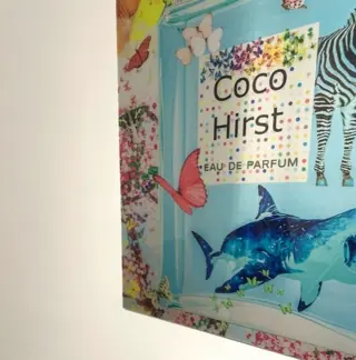Van Apple - Coco Hirst