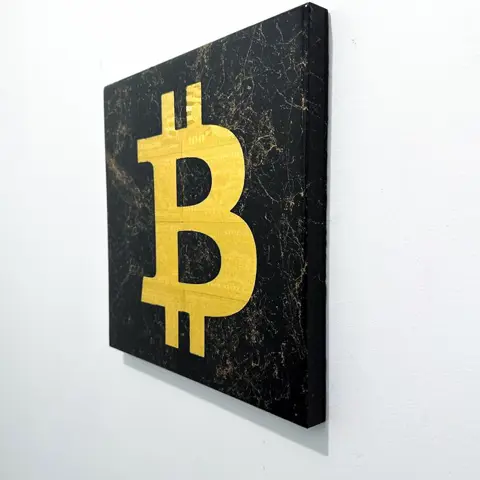 This Is Not A Toy - Bitcoin Gold