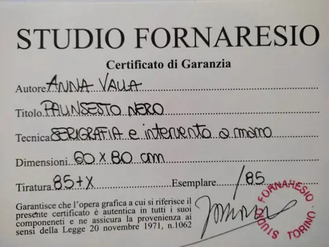 Anna Valla (1951) - Palinsesto nero