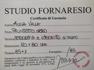 Anna Valla (1951) - Palinsesto nero