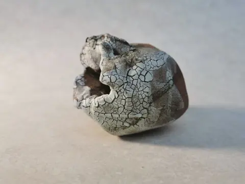 Cathy Astolfi - Tectonique 2