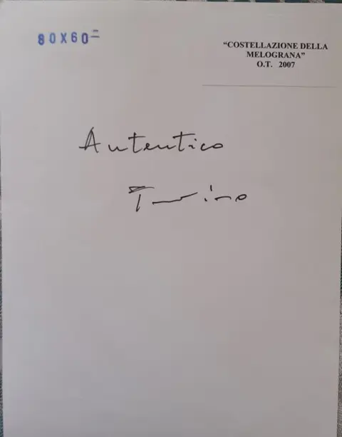 Salvatore Provino (1943) - Costellazione della melograna