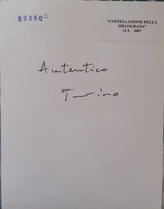 Salvatore Provino (1943) - Costellazione della melograna