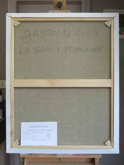 Christophe Gastaldi - Le grand plongeon