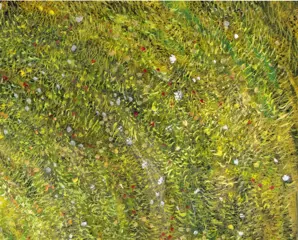 Sternhagel - Blumenhimmel - XL
