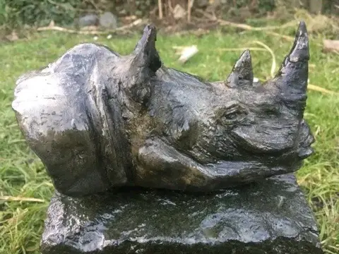 Jim Dundas - Rhino on a stone