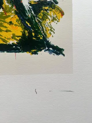 Mario Schifano (1934-1998) - Tartaruga