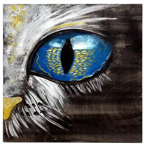Silvia Montanari (1989) - Occhione blu