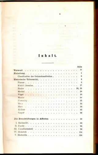 Willers Jessen - Die Brandstiftungen in Affecten und Geistesstörungen. - 1860