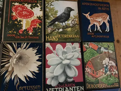 Thysse, Voerman, Rol, Koeman, Kuylman, Wenckebach, Van Laren, Portielje - Verkade-albums - 1925/1940