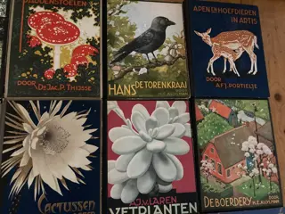 Thysse, Voerman, Rol, Koeman, Kuylman, Wenckebach, Van Laren, Portielje - Verkade-albums - 1925/1940
