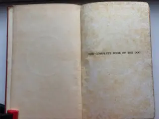 Robert Leighton - The Complete Book Of The Dog. {32 pleats} - 1922