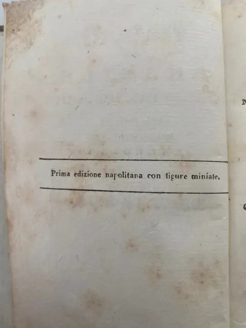 Principe Massimiliano di Wied-Neuwied - Viaggio al Brasile - 1832