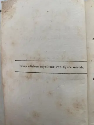 Principe Massimiliano di Wied-Neuwied - Viaggio al Brasile - 1832