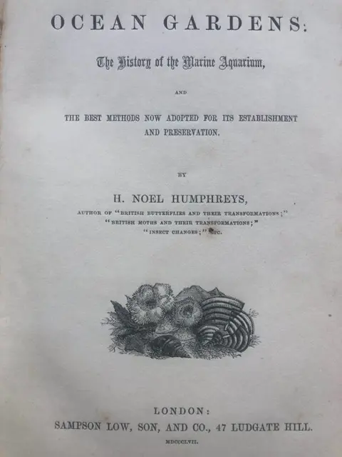 H. Noel Humphreys. - Ocean Gardens: History of the Marine Aquarium. { 12 hand coloured } - 1857
