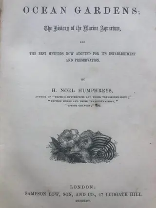 H. Noel Humphreys. - Ocean Gardens: History of the Marine Aquarium. { 12 hand coloured } - 1857