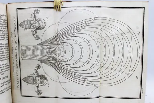 André Levret - L'Art Des Accouchemens, Démontré Par Des Principes De Physique Et De Mechanique - 1766