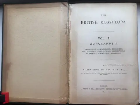 R. Braithwaite - The British Moss-Flora: Acrocarpous Mosses; Acrocarpi; Pleurocarpi { 128 plates} - 1887