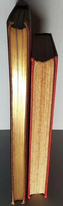 Adams, W H Davenport/ Richard Rivington Holmes - Windsor Castle and the Water-Way Thither/ Windsor, Painted by G. M. Henton - 1880/1908