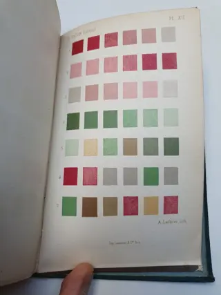 J. Masselon - Examen Fonctionnel de l’œil - 1882