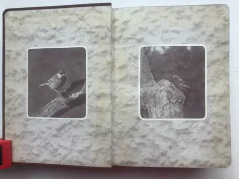 Thomas Coward. - The Birds of the British Isles and their Eggs Series I & II. - 1928/1929