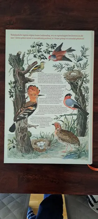 Cornelis Nozeman en Jan Christiaan Sepp; tekst inleiding: Marieke van Delft, Esther van Gelder en Al - Nederlandsche vogelen, 1770-1829 - 2014