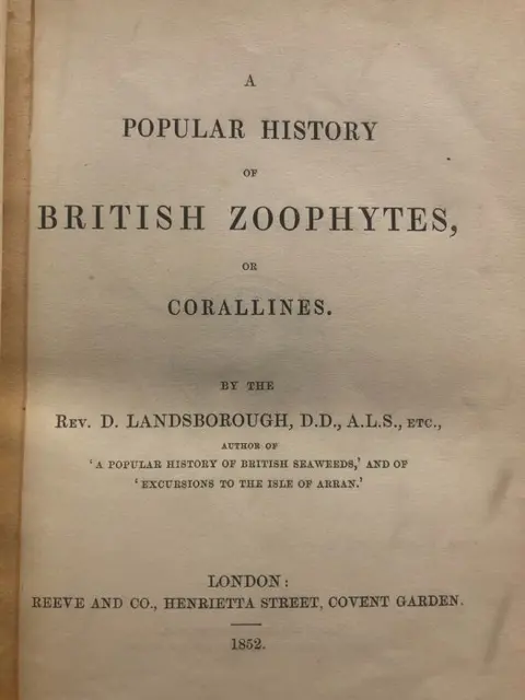 Rev. D. Landsborough - A Popular History of British Zoophytes, or Corallines - 1852