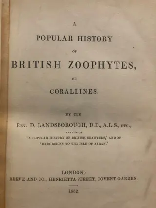 Rev. D. Landsborough - A Popular History of British Zoophytes, or Corallines - 1852