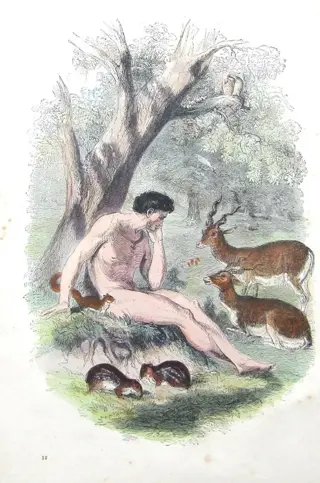 Cassell's - Cassells Popular Natural History, [4 volumes in 2 bindings] - 1851