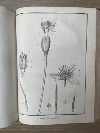 Poisson, Arago, Biot, Deleambre, Cuvier & Guyton-Morveau - Memoires de la classe des sciences mathématiques et physiques de l'Institut Impérial de France 1811 - 1812