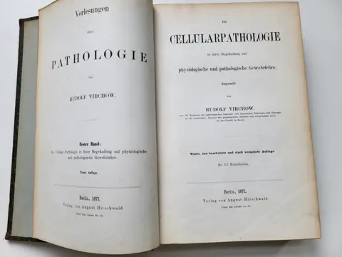 Rudolf Virchow - Die cellular Pathologie in ihrer Begründung auf physiologische und pathologische Gewebelehre - 1871