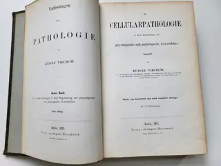 Rudolf Virchow - Die cellular Pathologie in ihrer Begründung auf physiologische und pathologische Gewebelehre - 1871