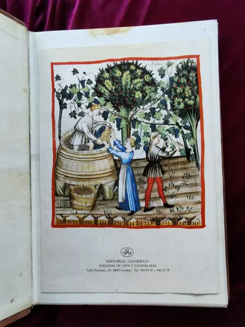 Desconocido - Facsimil Codice de Cerruti. Tacuinum sanitatis in Medicina. Codex Vindobonensis series 2644 - 1987