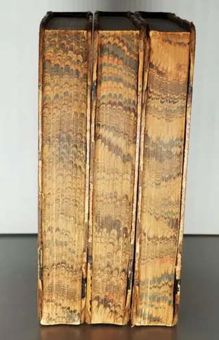 Richard and John Lander - Journal of an Expedition to Explore the Course and Termination of the Niger - 1832